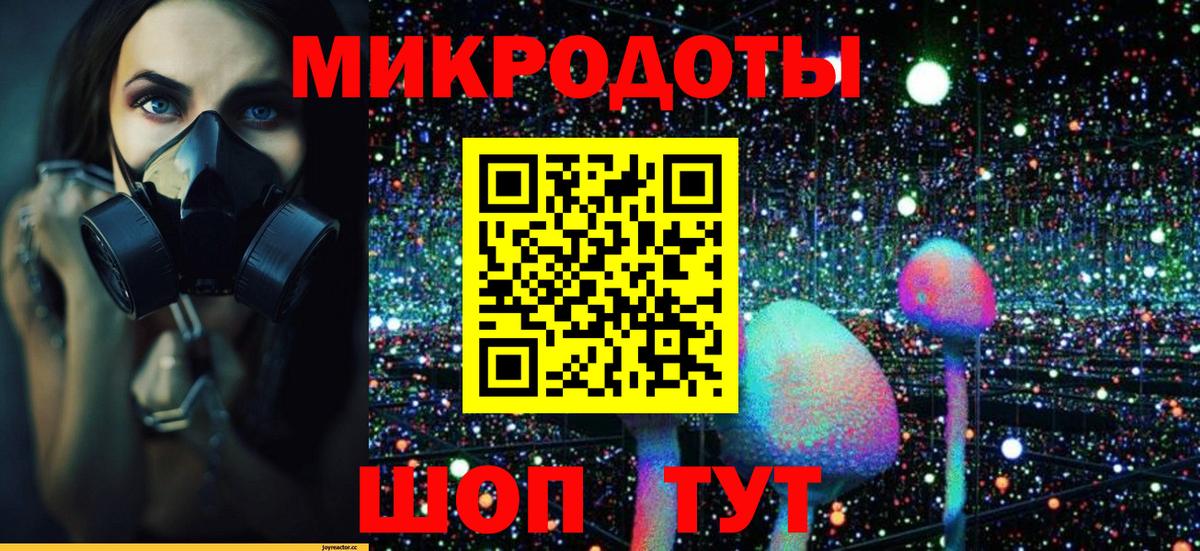 Братск  Псилоцибиновые грибы GOLDEN TEACHER  Вход с VPN 