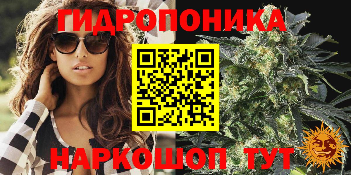 Канабис планчик Братск